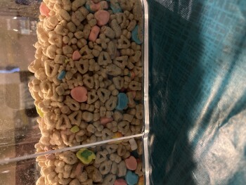 lucky charms cereal , Walmart Supercenter, South Cicero Avenue, Bedford Park, IL, USA foto #1