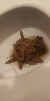 Lucky Charms, Morel Grocery, South Broad Street, Philadelphia, PA, USA photo #1