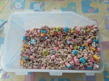 Rio Ranch Market, East Baseline Street, San Bernardino, CA, USA photo #1