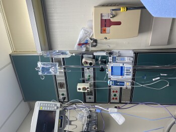 Lucky Charms, Mobile, Alabama, USA Foto #1