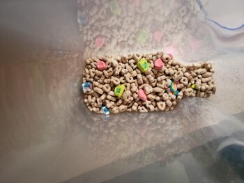 lucky charms, Salem, OR, USA 照片 #1