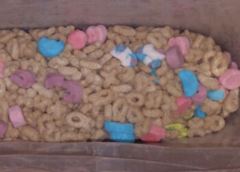 Walmart Supercenter, College Drive, Baton Rouge, LA, USA Foto #1