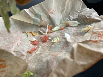 Taco Bell, Military West, Benicia, CA, USA Foto #1