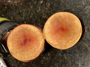 Verbraucherbewertung – Lebensmittelsicherheit Sam's Club, Gosford Road, Bakersfield, CA, USA Today ,  Some nectarines from here I bought a bag on... Foto #4