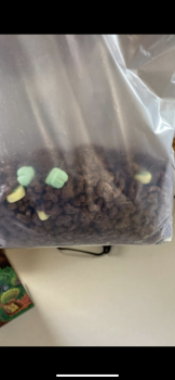 Consumer Review - Food Safety Lucky Charms, General Mills World Headquarters, General Mills Boulevard, Golden Valley, MN, USA We b... photo #3