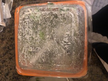 Consumer Review - Food Safety Salad and Go, Tatum Boulevard, Phoenix, AZ, USA today at 4 pm,  The salads We ate the Cobb salad and... photo #2