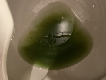 Consumer Review - Food Safety Lucky Charms cereal, Denver, CO, USA I had Lucky Charms (LC) about 4/5 times since i'm the only LC e... photo #3