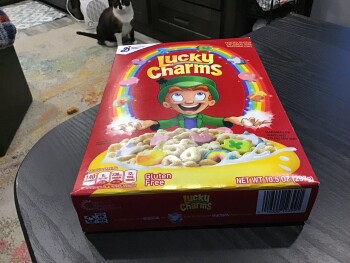 Lucky Charms, Family Dollar, James Canyon Highway, Cloudcroft, NM, USA photo #1