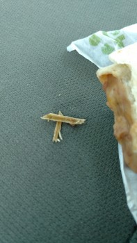 Taco Bell, 1701 East Bayshore Road, Palo Alto, CA, United States photo-71322 Got Food Poisoning? Report it now