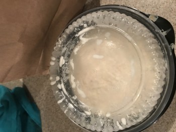 Red Lobster, 13090 City Station Drive, Jacksonville, FL, United States foto #1