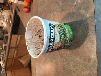 Avaliação do consumidor - Segurança alimentar Safeway, North Scottsdale Road, Scottsdale, AZ, USA A week ago monday and this morning,  Both times... foto #1