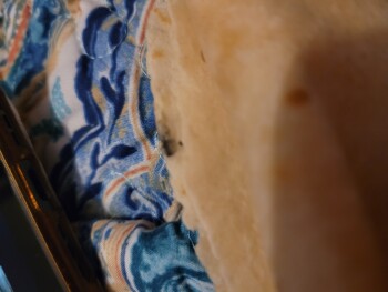 Taco Bell, West Roosevelt Boulevard, Monroe, NC, USA صورة فوتوغرافية #1