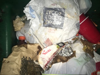 Taco Bell, Loyola Drive, Kenner, LA, United States photo #1