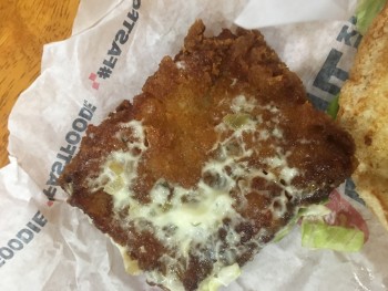 Checkers, Northeast 51st Street, Boca Raton, FL 33431, United States photo #1