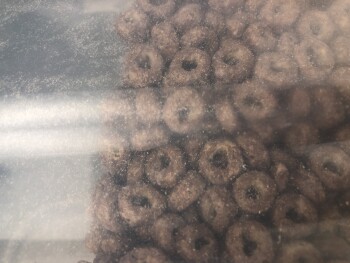 Walmart Supercenter, North 95th Avenue, Glendale, AZ, USA foto #1