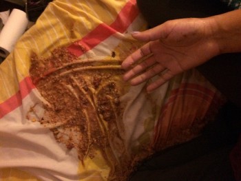 chipotle, 1209 North Charles Street, Baltimore, MD, United States Foto #1