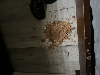 BENTO Pembroke Pines, Pembroke Pines, FL, USA photo #1