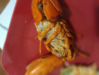 Reseña del consumidor - Seguridad alimentaria Walmart Supercenter, 2801 Airport Thruway, Columbus, GA 31909, USA Tonight we bought lobster and all... foto #2