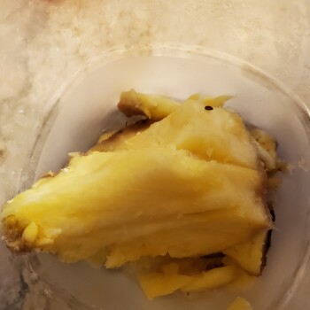 مراجعة المستهلك - سلامة الغذاء Food Pantry, Morris Park Avenue, The Bronx, Bronx, NY, USA Severe stomach pains, diarrhea and blood... صورة فوتوغرافية #1