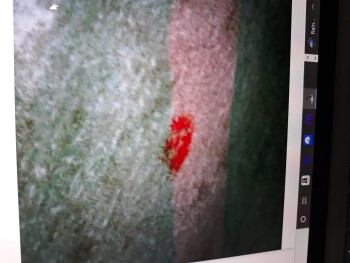 Relatório de segurança alimentar do consumidor Taco Bell, Tacoma, WA 98445, USA Blood on my wrapper foto #8