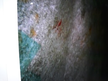 Relatório de segurança alimentar do consumidor Taco Bell, Tacoma, WA 98445, USA Blood on my wrapper foto #10