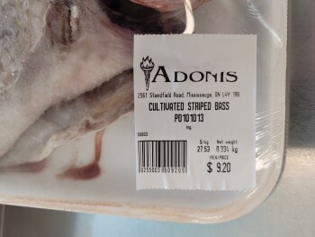 Adonis, Stanfield Road, Mississauga, ON, Canada photo #1