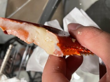 Consumer Review - Food Safety ShopRite of Aberdeen, NJ, Lloyd Road, Aberdeen Township, NJ, USA They sold “fresh” lobster. Turns ou... photo #2
