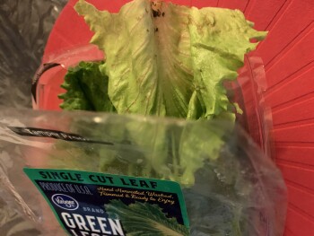 Informe de seguridad alimentaria del consumidor Smith's, 4965 E Sahara Ave, Las Vegas, NV, USA Hi, I used always their lettuce(  Hand washed , trimm... foto #2