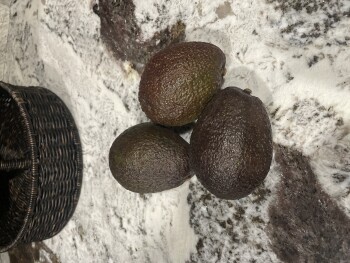 Sam's Club, Fourth Street, Longview, TX, USA صورة فوتوغرافية #1