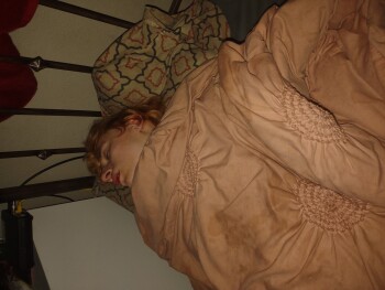 Cinnamon toast crunch, Medford, OR, USA photo #1