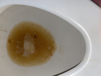 Avis du consommateur - Sécurité alimentaire Mt. Everest India's Cuisine, West Sahara Avenue, Las Vegas, NV, USA Chicken tikka Masala and chilli... photo #1