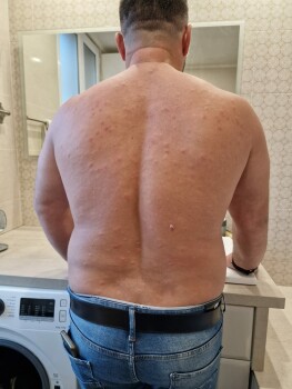 Pois chiche grille, Paris, France foto #1