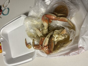 Avis du consommateur - Sécurité alimentaire Rustic Inn Crabhouse, Anglers Avenue, Fort Lauderdale, FL, USA Dungeoness crab, Went to this locatio... photo #2