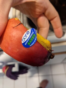 Consumer Review - Food Safety Mango, ALDI, East 117th Street, New York, NY, USA Ate a "cone" brand Brazilian mango with coffee/mil... photo #1