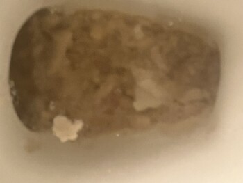 Wawa, State Road 70 East, Bradenton, FL, USA Foto #1