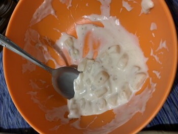 Dollar General, Tennessee 149, Palmyra, TN, USA photo #1