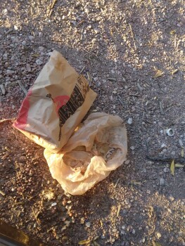 Del Taco, North Academy Boulevard, Colorado Springs, CO, USA foto #1