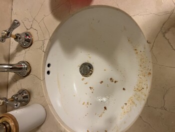 消费者评论 - 食品安全 McDonald's Caringbah, President Avenue, Caringbah NSW, Australia I ate mcchicken burger 2 nights ago... 照片 #1