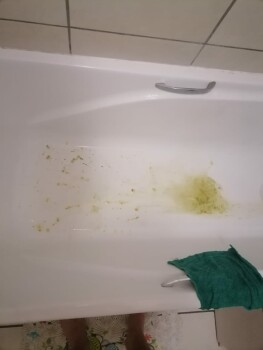 Consumer Review - Food Safety Roman's Pizza Vanderbijlpark, Jan Van Riebeeck Boulevard, Vanderbijlpark C. C., Vanderbijlpark, Sout... photo #2