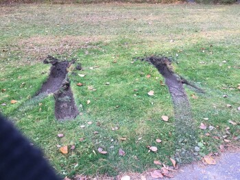 Property damage صورة فوتوغرافية #1