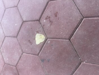 Arby's, Interstate 45 South, Conroe, TX, USA Foto #1