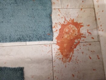 Tuna, Baton Rouge, LA, USA 照片 #1