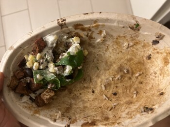 Avaliação do consumidor - Segurança alimentar Chipotle Mexican Grill, 291 East Ontario Street, Chicago, IL, USA Wow just had a bowl an hour ago an... foto #1