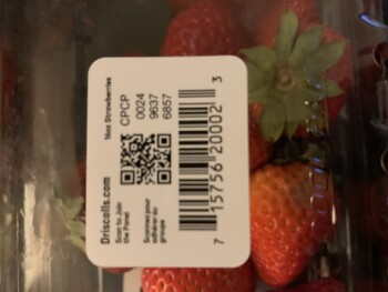 Jungle Jim's International Market Eastgate, Eastgate South Drive, Cincinnati, OH, USA صورة فوتوغرافية #1