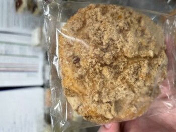 Food Recall Boston Baking Mini Cinnamon Crumb Cake - recalled due to undeclared pecans BOSTON BAKING, Inc. of Bo... photo #1