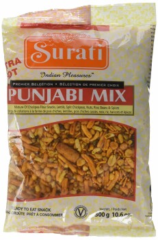 Surati Punjabi mix, Toronto, ON, Canada 照片 #1