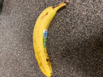 Food Lion, Centerville Rd, Herndon, VA, USA photo #1