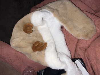 Consumer Safety Report Package from Online Seller I received a plush reindeer hat that I never ordered. 

I did however o... photo #1