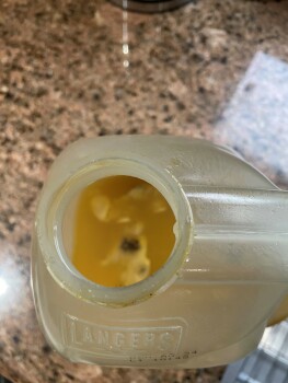 消费者评论 - 食品安全 Langer Orgagic Mango Juice, Costco Wholesale, Tampa Avenue, Northridge, Los Angeles, CA, USA Hello,... 照片 #2