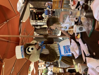 Aulani, A Disney Resort & Spa, Aliinui Dr, Kapolei, HI, USA photo #1